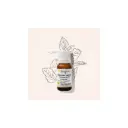 Huile essentielle de Menthe verte ou menthe douce 10ml