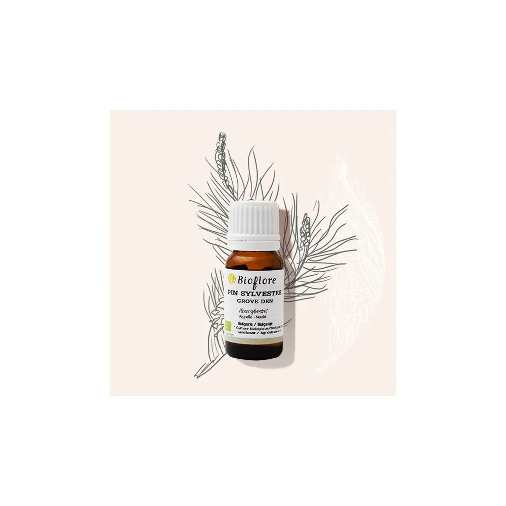 Huile essentielle de Pin sylvestre 10ml