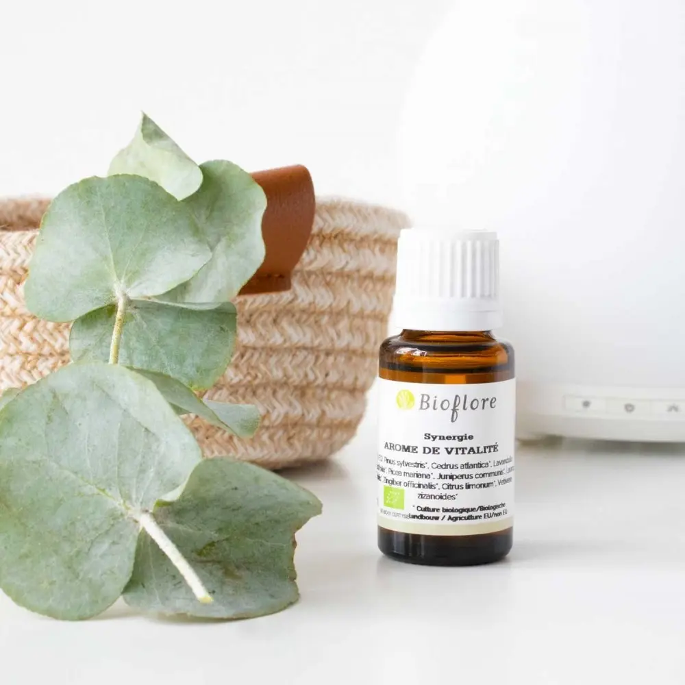 Synergie Arômes de vitalité 15ml