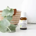 Synergie Arômes de vitalité 15ml