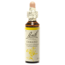 Fleurs de Bach Original Cerato 20 ml