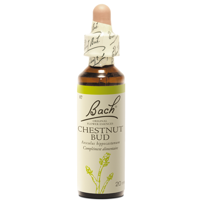Fleurs de Bach Original Chestnut Bud 20 ml