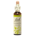 Fleurs de Bach Original Clematis 20 ml