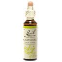Fleurs de Bach Original Honeysuckle 20 ml