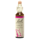 Fleurs de Bach Original Larch 20 ml