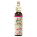 Fleurs de Bach Original Star of Bethlehem 20 ml