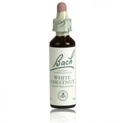 Fleurs de Bach Original White Chestnut 20 ml