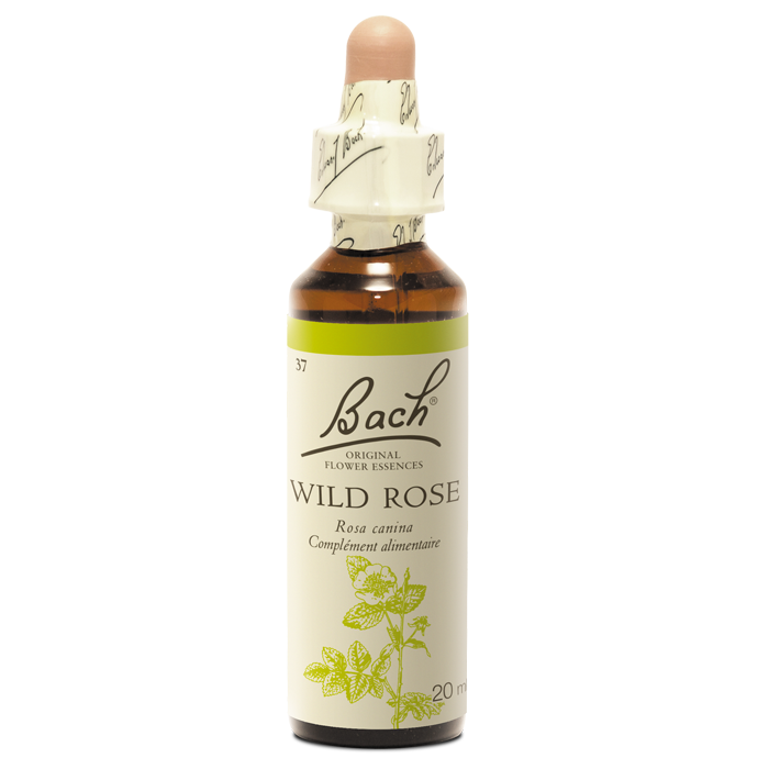 [Nr.37] Fleurs de Bach Original Wild Rose 20 ml