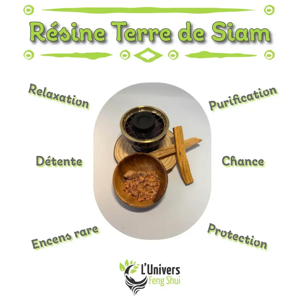 Encens résine Terre de Siam 10gr