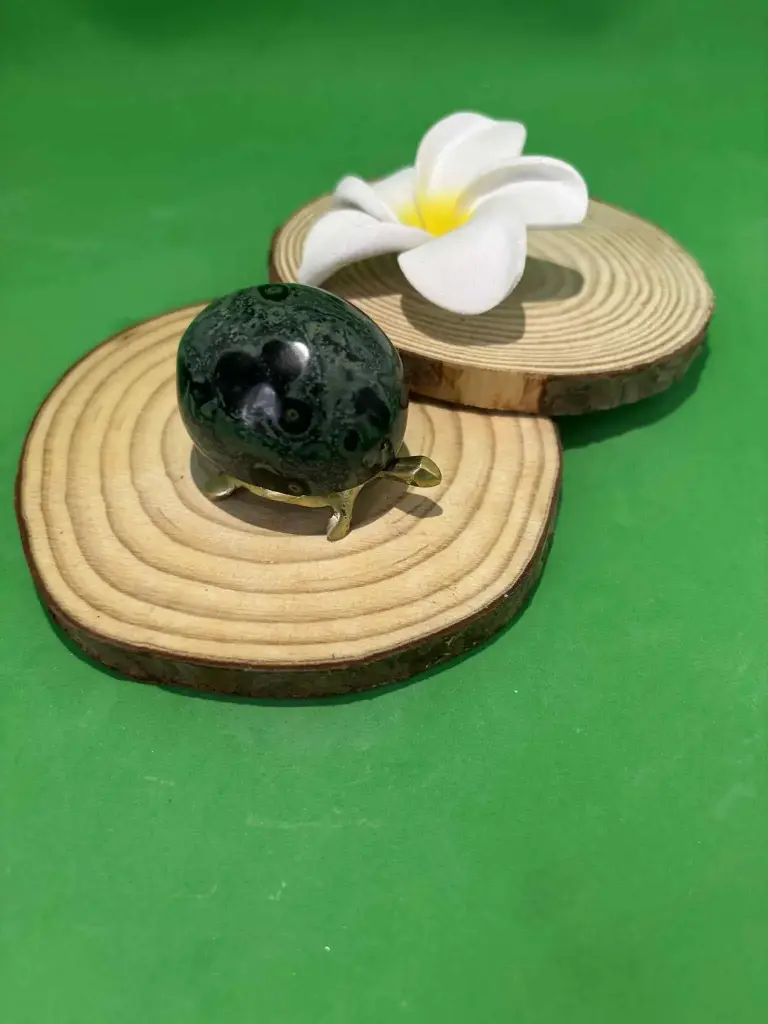 Jaspe kambaba tortue