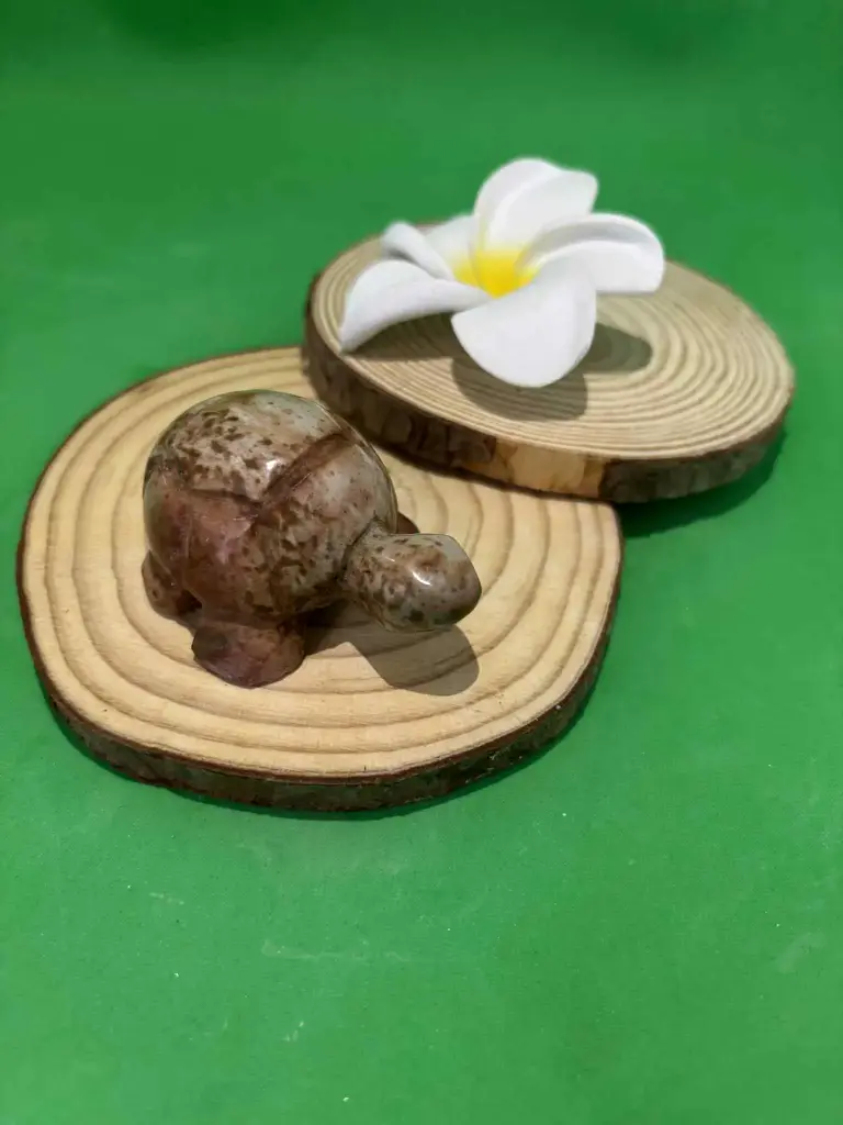 Jaspe polychrome tortue