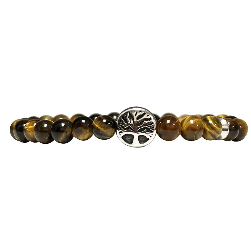 Bracelet Œil de Tigre & arbre de vie en acier 6mm