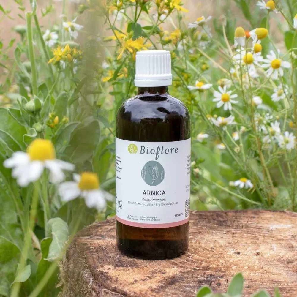 Macérât huileux d'Arnica bio