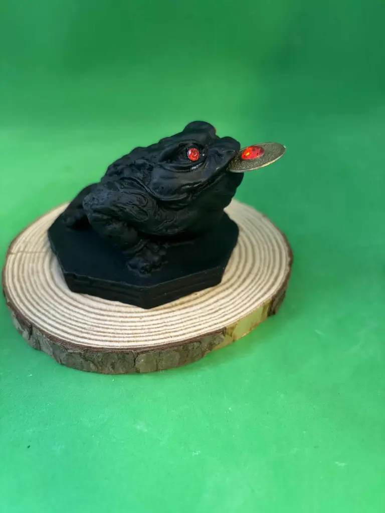 Crapaud à 3 pattes noir