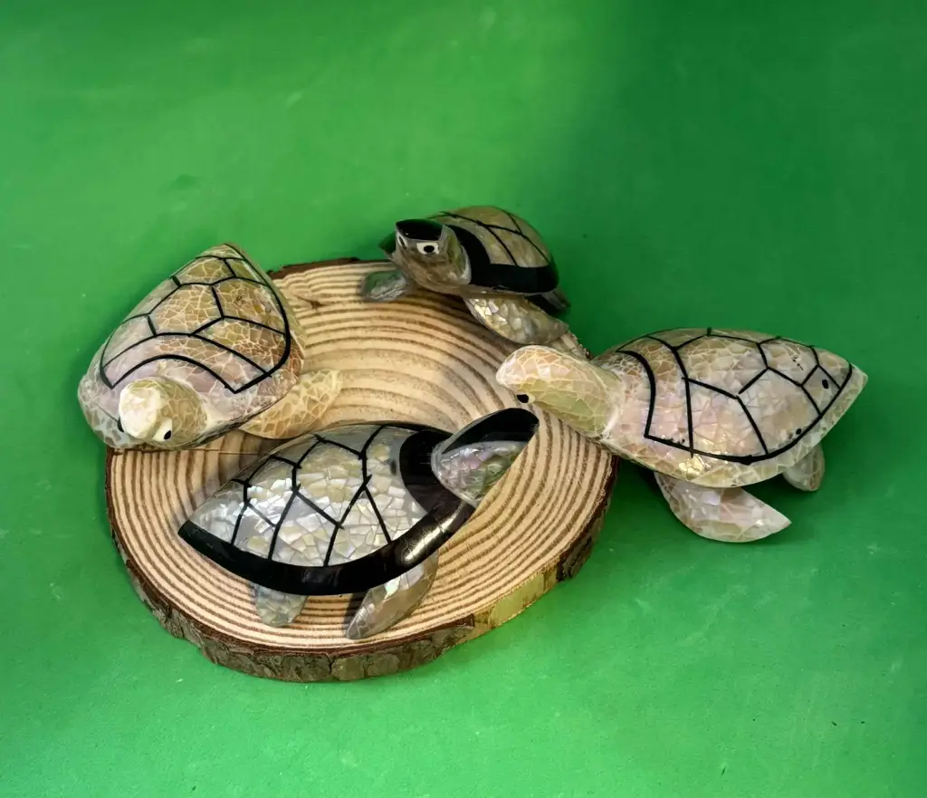 Tortue en coquillage petite