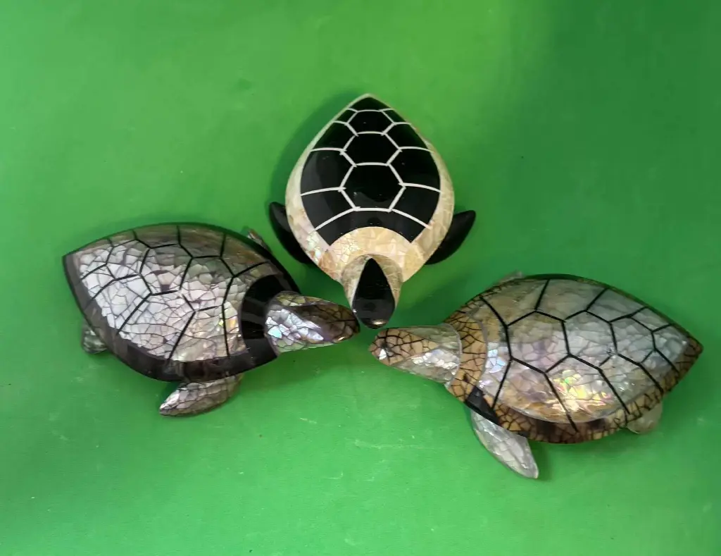 Tortue en coquillage petite moyenne