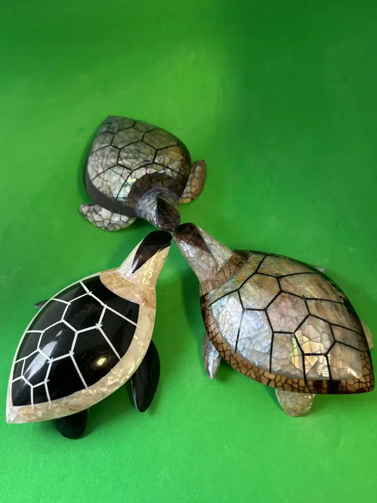 Tortue en coquillage moyenne