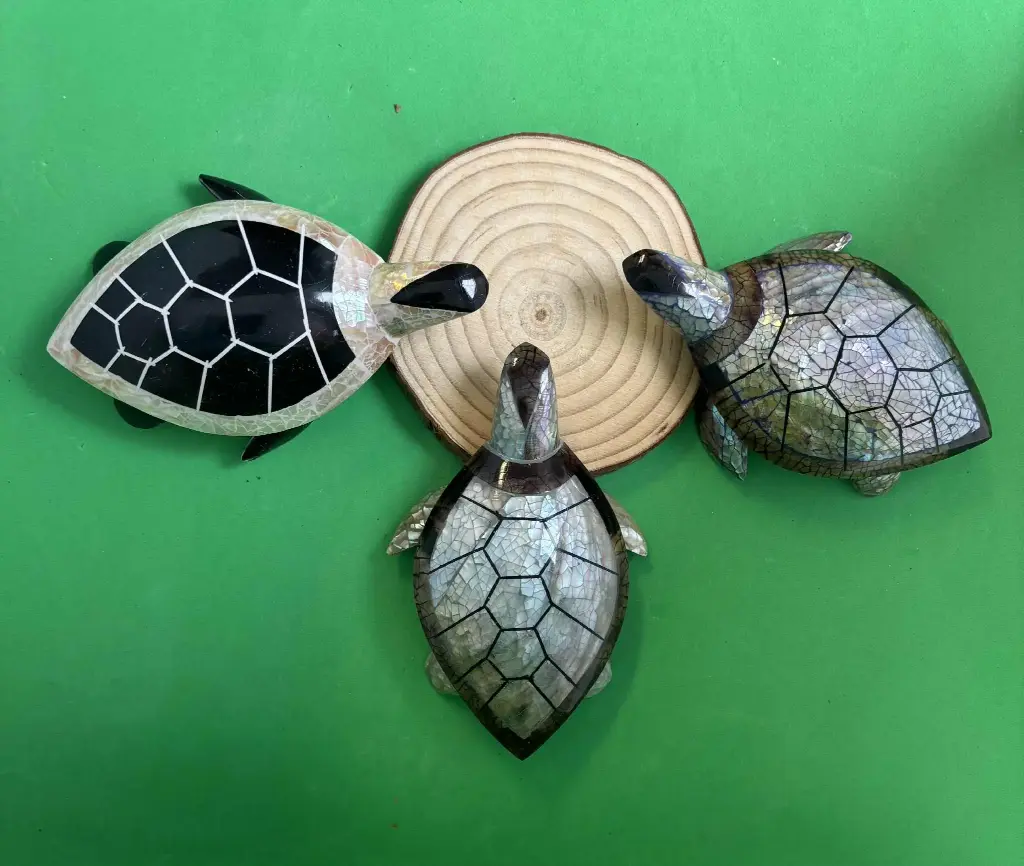 Tortue en coquillage grande