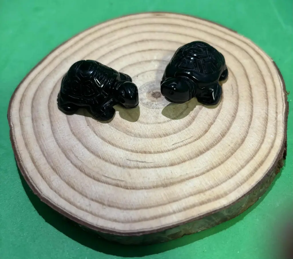 Obsidienne noire tortue
