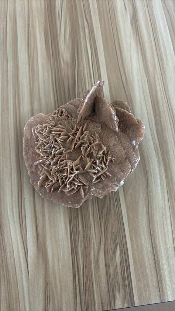 Rose des sables XL