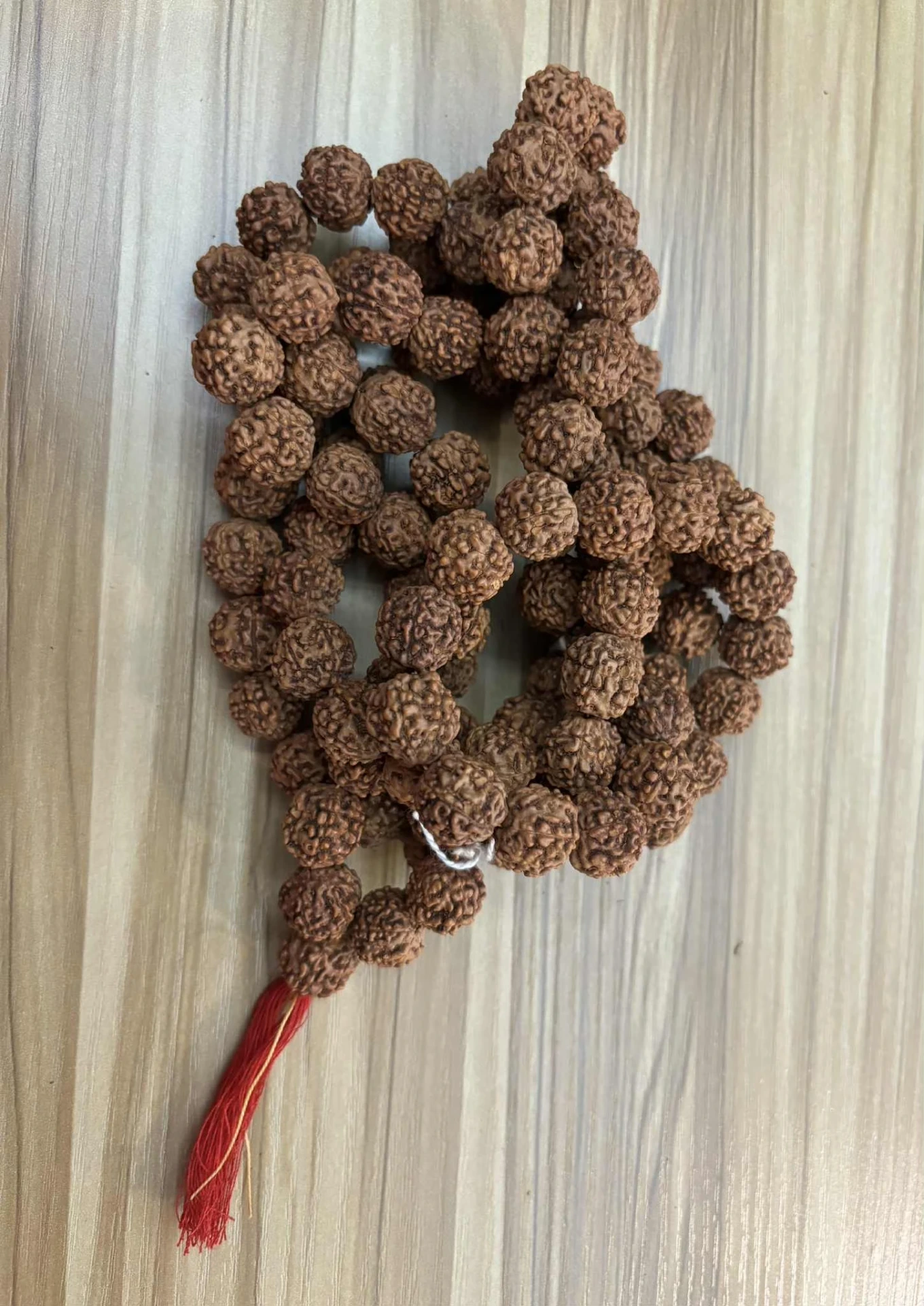 Mala graines de rudraksha