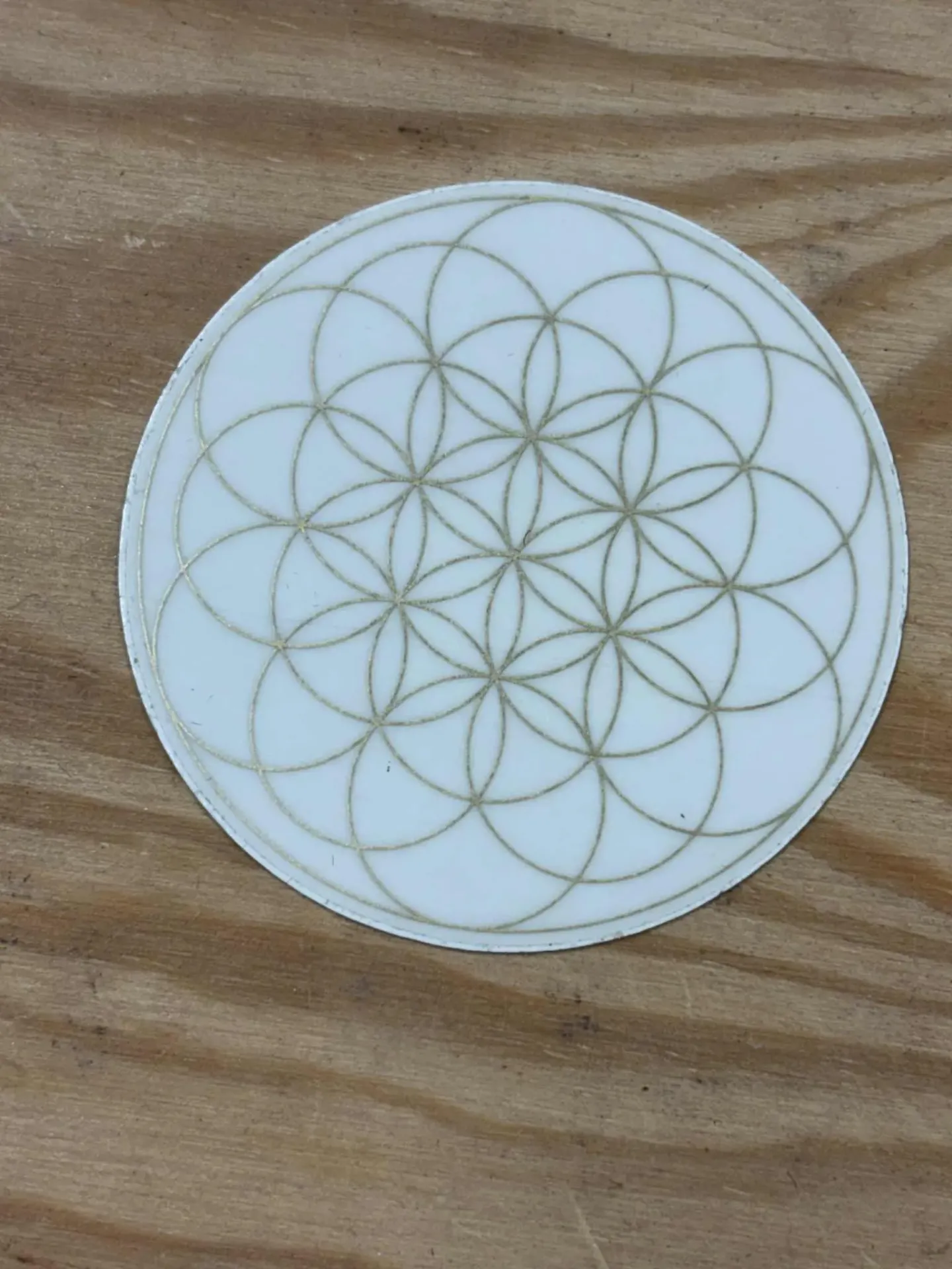 Graine de Vie autocollante 4,5cm