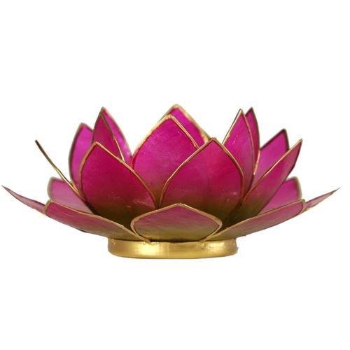 Bougeoir Lotus vert-rose bord or