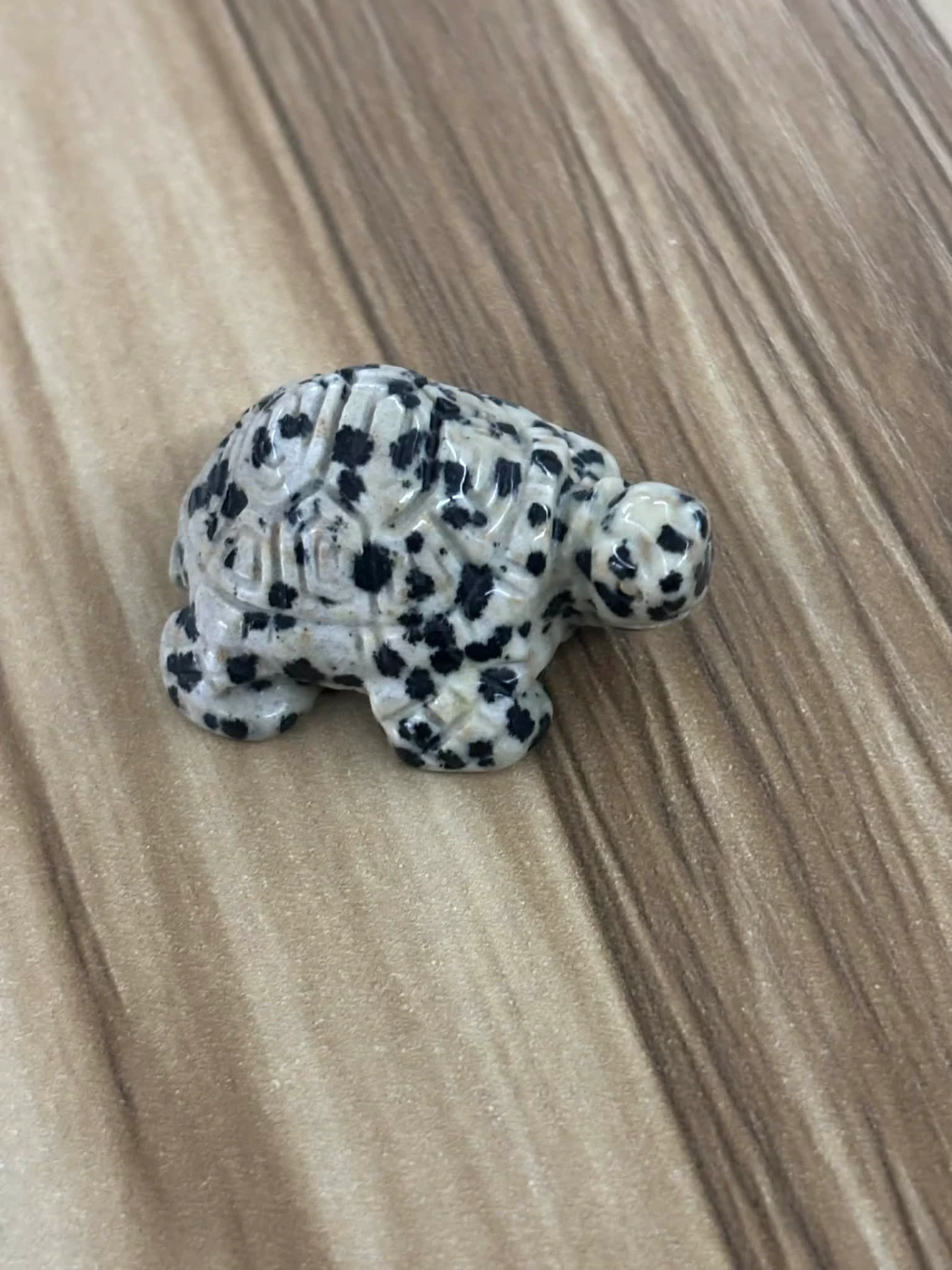 Jaspe dalmatien tortue