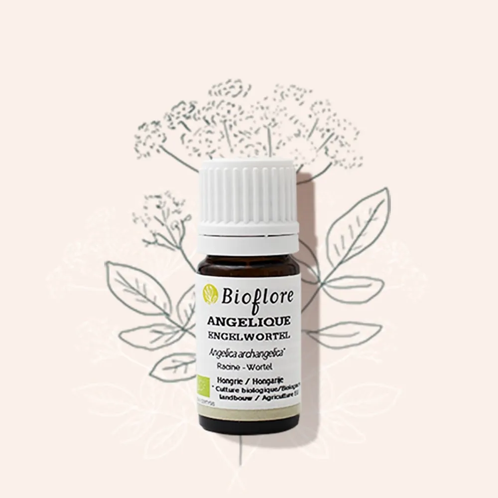 Huile essentielle d'Angélique bio