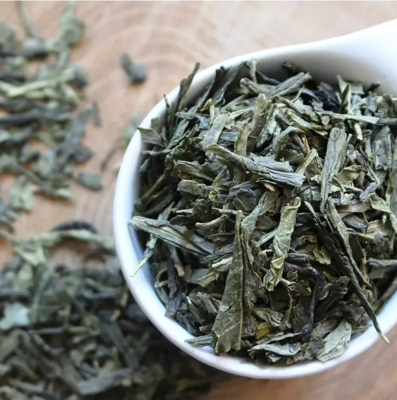 Sencha
