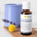 Complexe de bourgeons Articulations