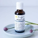 Complexe de bourgeons Cholestezen