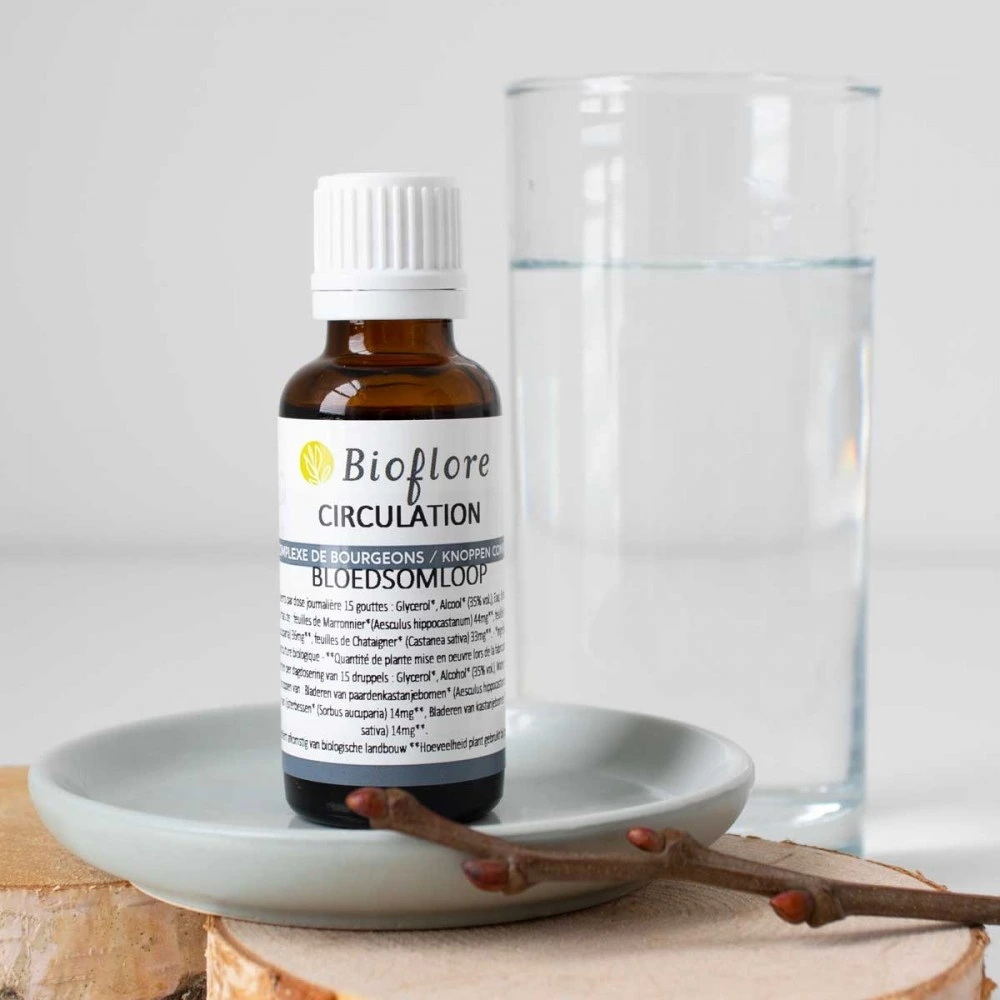 Complexe de bourgeons Circulation