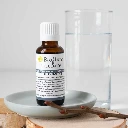 Complexe de bourgeons Circulation