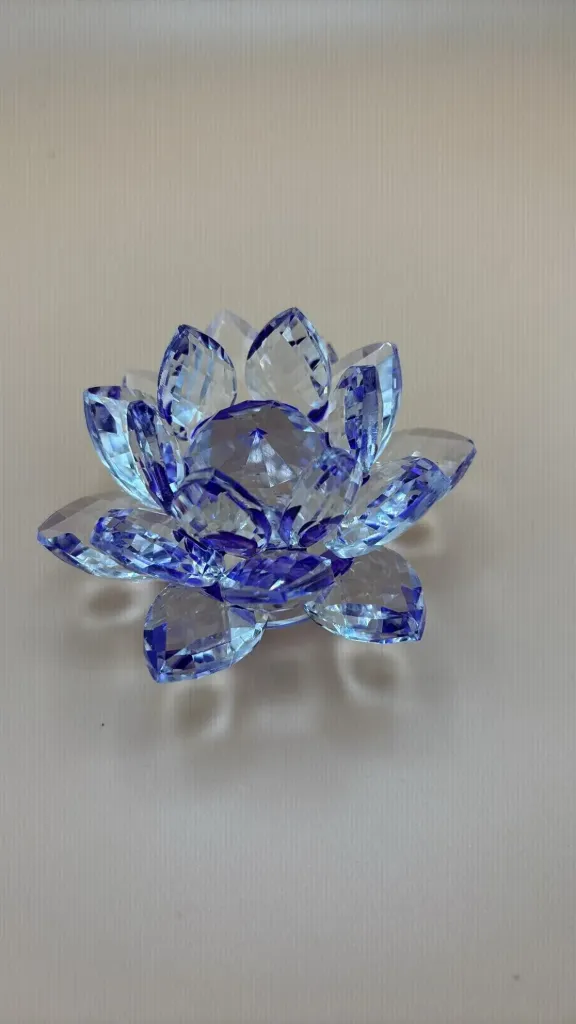 Fleur de lotus colorée