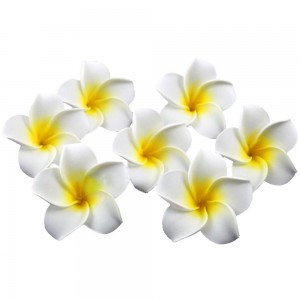 10pcs-font-b-White-b-font-Plumeria-Hawaiian-Foam-font-b-Frangipani-b-font-Flower-For